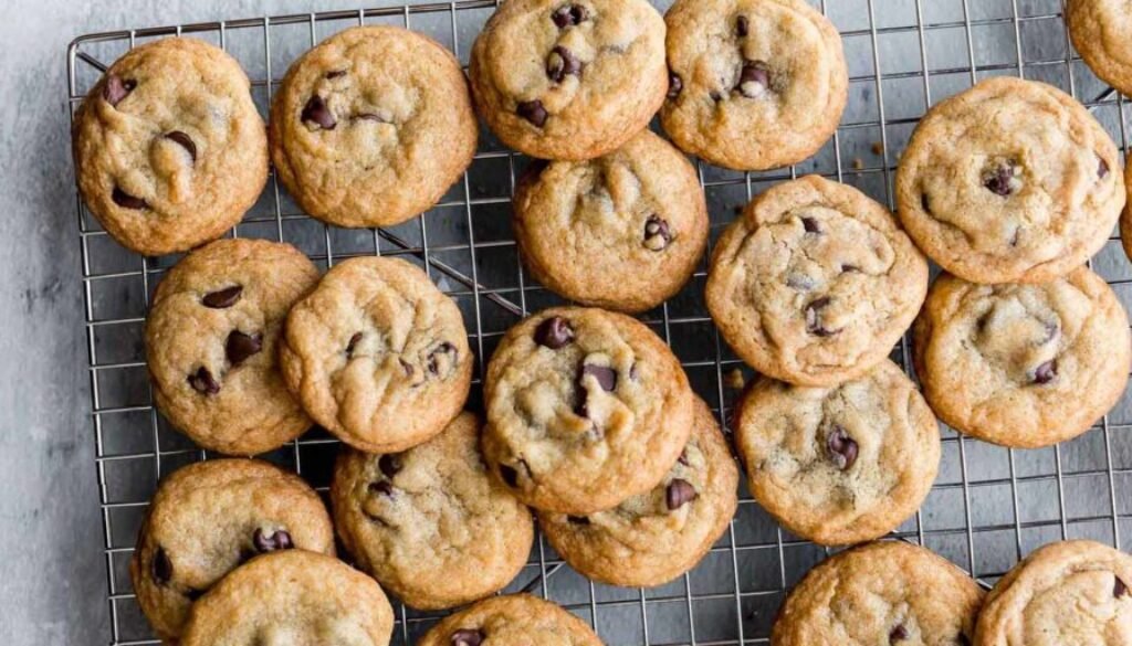 25110-the-perfect-chocolate-chip-cookie-Ella-Marie-2x1-4b3dc60db3ef43d1906332f1e686459a-995184ee4d1f.jpeg
