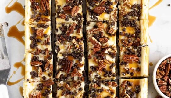 FINAL-turtle-cheesecake-1-11.jpg