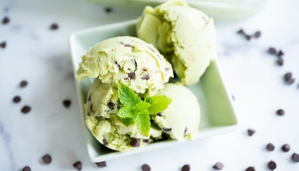Homemade_Mint_Chocolate_Chip_Ice_Cream_Recipe_5.jpg