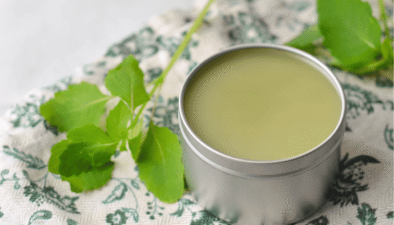 jewelweed-salve.png